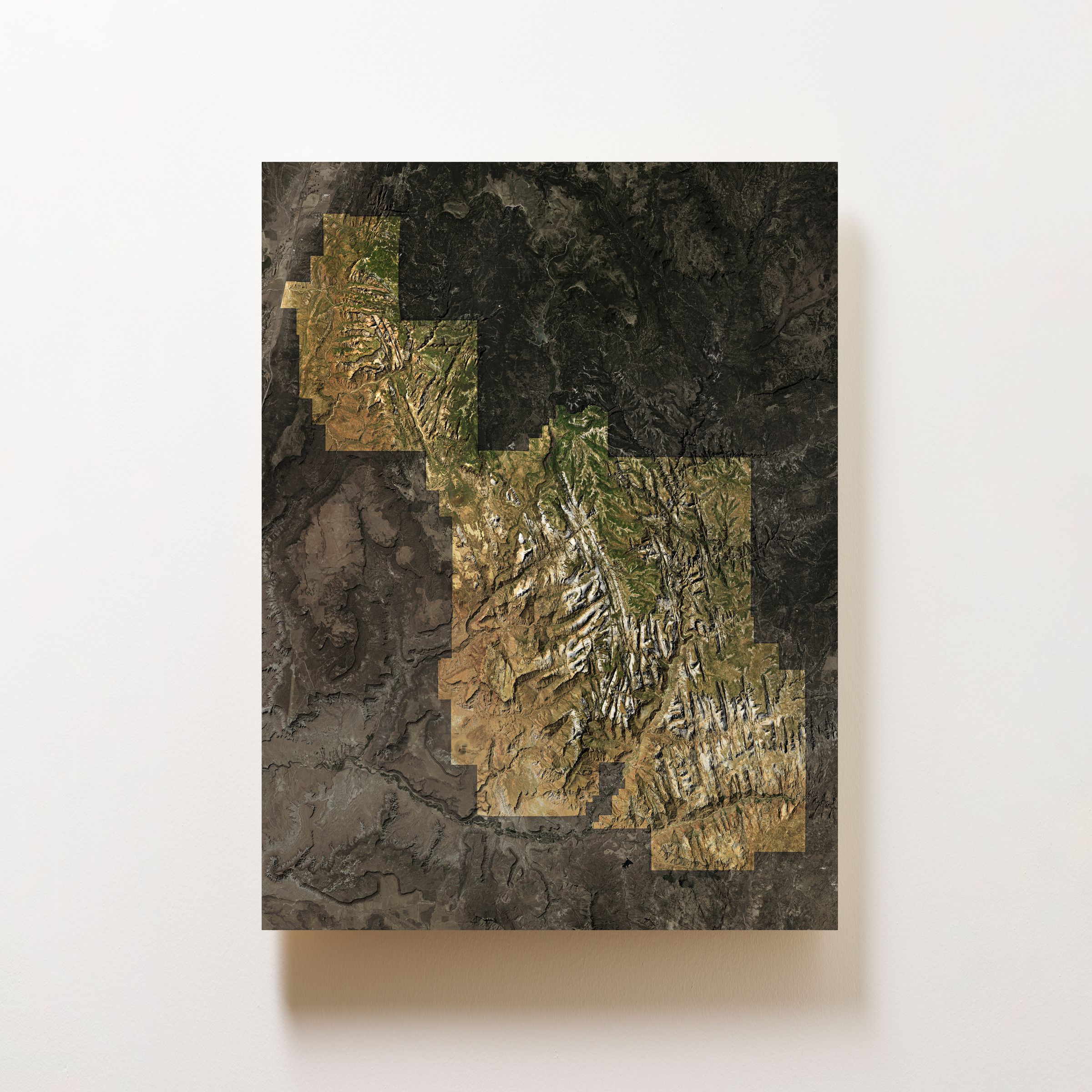 邦楽 WOOD MAN DETERMINATIONS ZION RECRDS Zion National Park Map Art